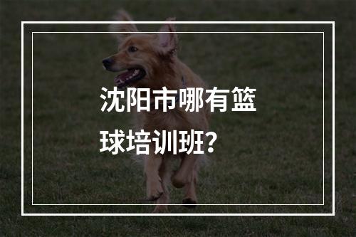 沈阳市哪有篮球培训班？