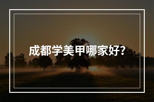 成都学美甲哪家好？