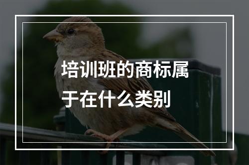 培训班的商标属于在什么类别