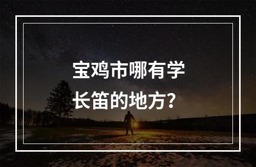 宝鸡市哪有学长笛的地方？