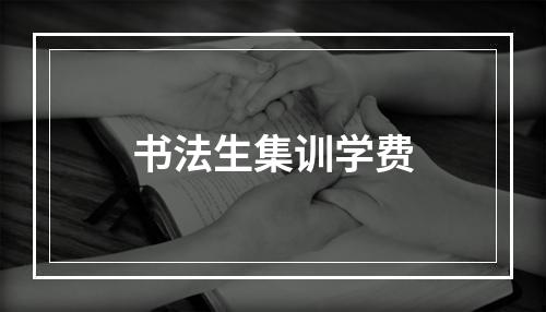 书法生集训学费