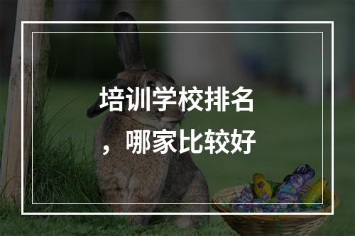 培训学校排名，哪家比较好