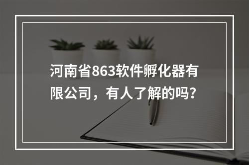 河南省863软件孵化器有限公司，有人了解的吗？