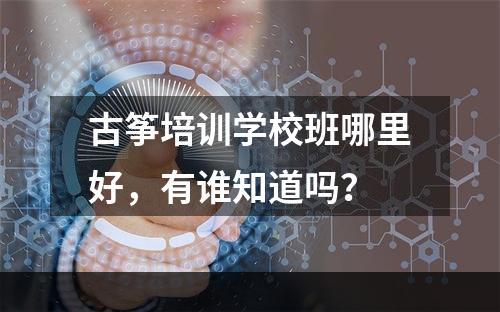 古筝培训学校班哪里好，有谁知道吗？