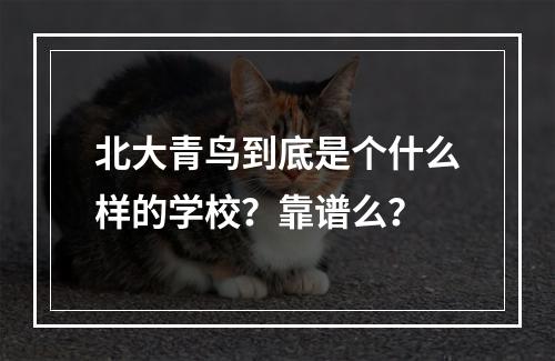 北大青鸟到底是个什么样的学校？靠谱么？