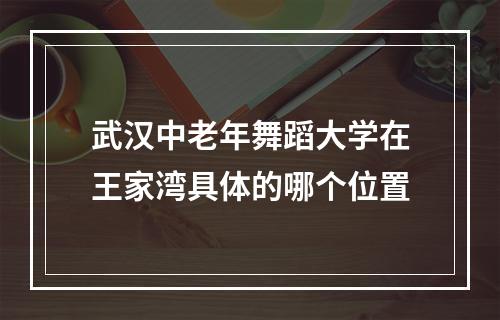 武汉中老年舞蹈大学在王家湾具体的哪个位置