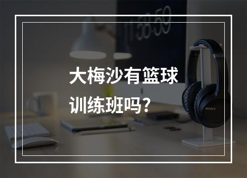 大梅沙有篮球训练班吗?