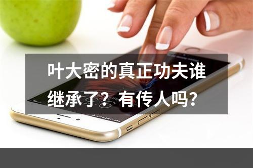 叶大密的真正功夫谁继承了？有传人吗？