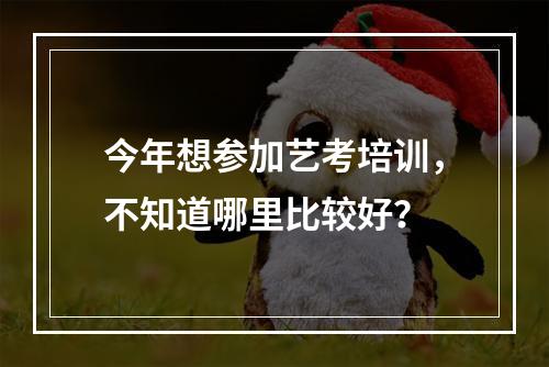 今年想参加艺考培训，不知道哪里比较好？