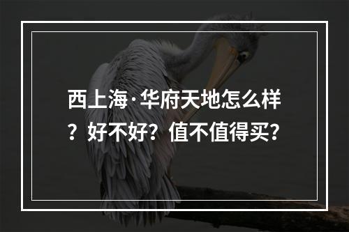 西上海·华府天地怎么样？好不好？值不值得买？