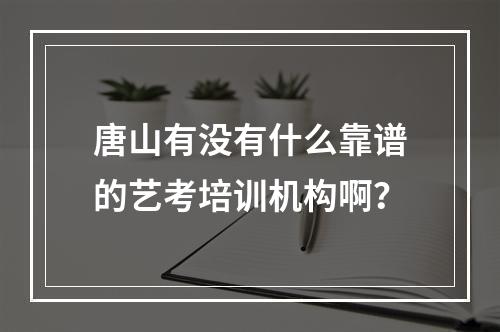 唐山有没有什么靠谱的艺考培训机构啊？