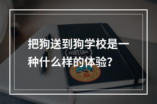 把狗送到狗学校是一种什么样的体验？