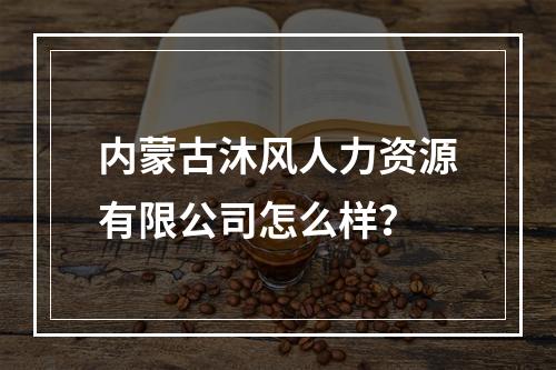 内蒙古沐风人力资源有限公司怎么样？