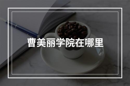 曹美丽学院在哪里