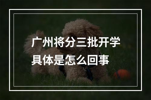 广州将分三批开学具体是怎么回事