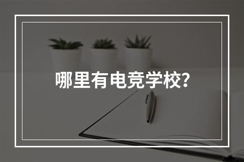 哪里有电竞学校？