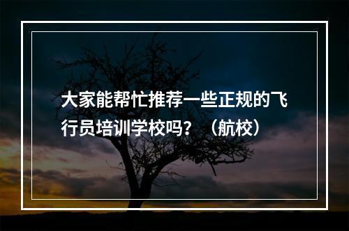 大家能帮忙推荐一些正规的飞行员培训学校吗？（航校）