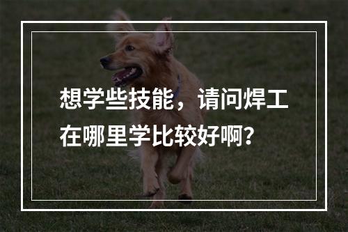 想学些技能，请问焊工在哪里学比较好啊？