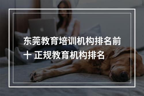 东莞教育培训机构排名前十 正规教育机构排名