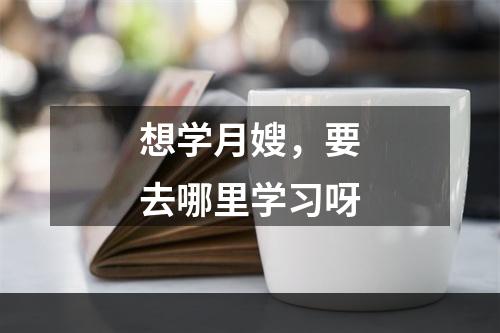 想学月嫂，要去哪里学习呀