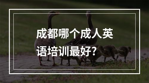 成都哪个成人英语培训最好?