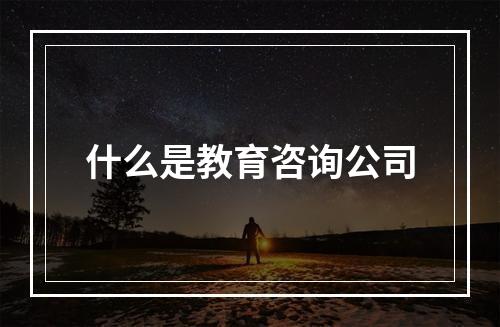 什么是教育咨询公司