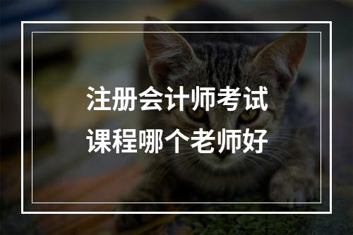 注册会计师考试课程哪个老师好