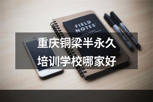 重庆铜梁半永久培训学校哪家好