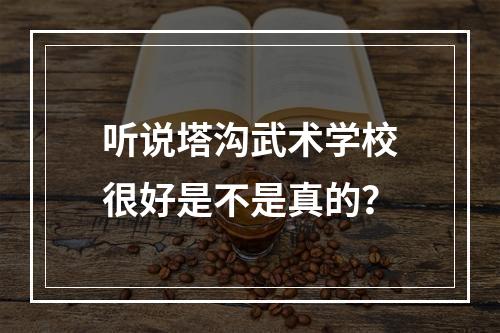 听说塔沟武术学校很好是不是真的？