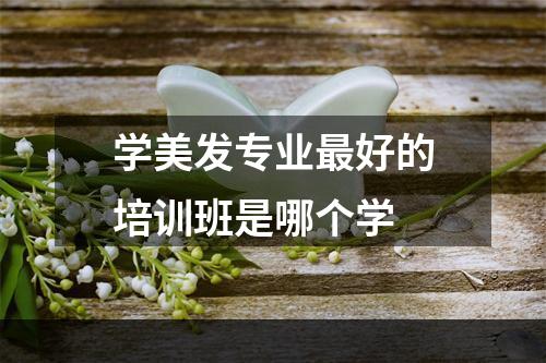 学美发专业最好的培训班是哪个学