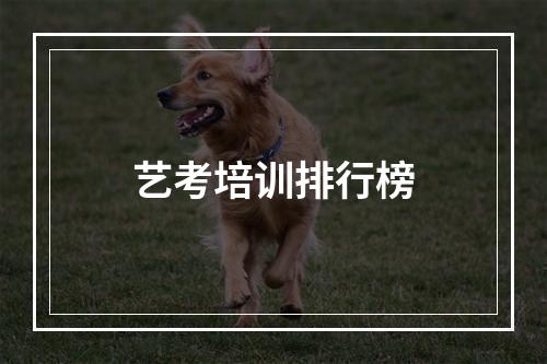 艺考培训排行榜