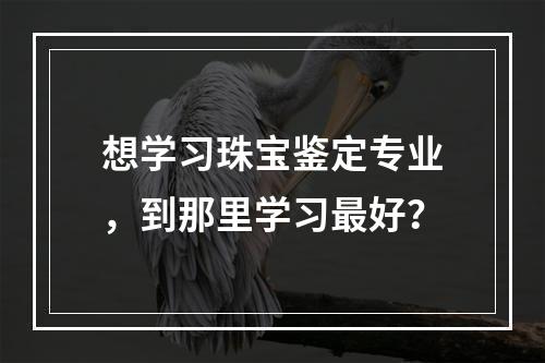 想学习珠宝鉴定专业，到那里学习最好？