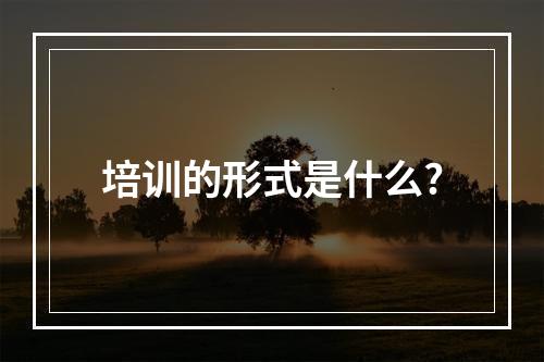 培训的形式是什么?