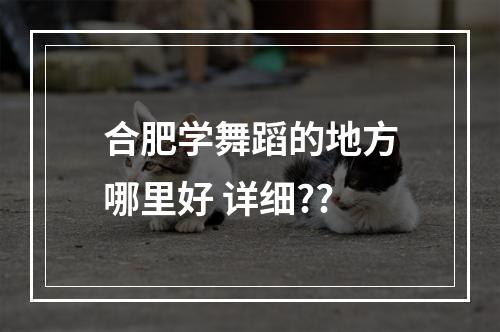 合肥学舞蹈的地方哪里好 详细??