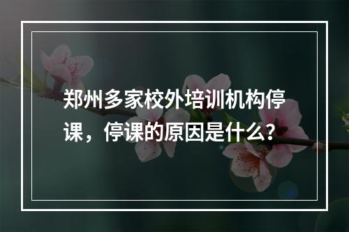 郑州多家校外培训机构停课，停课的原因是什么？