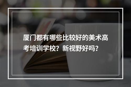 厦门都有哪些比较好的美术高考培训学校？新视野好吗？