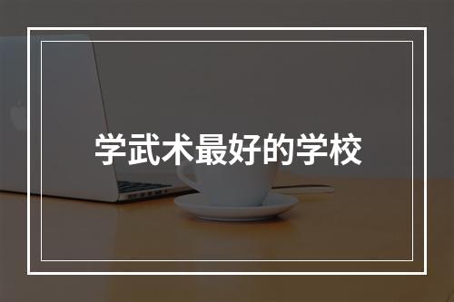 学武术最好的学校