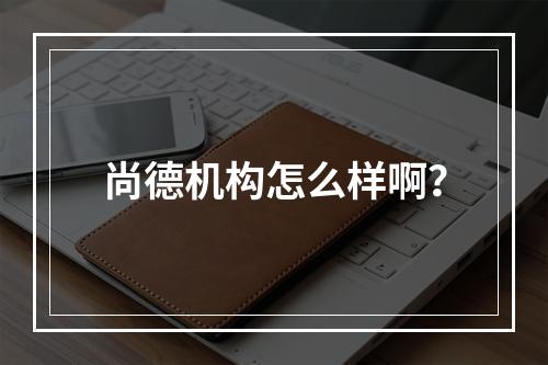 尚德机构怎么样啊？