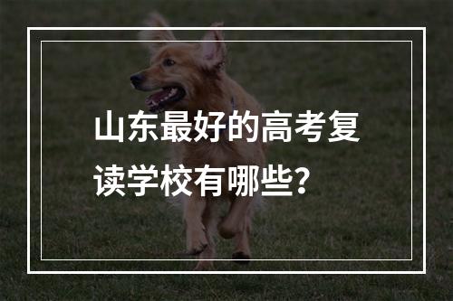 山东最好的高考复读学校有哪些？