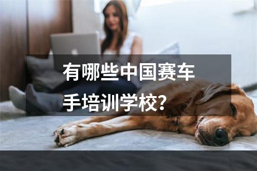 有哪些中国赛车手培训学校？