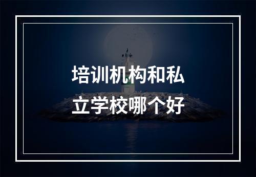 培训机构和私立学校哪个好