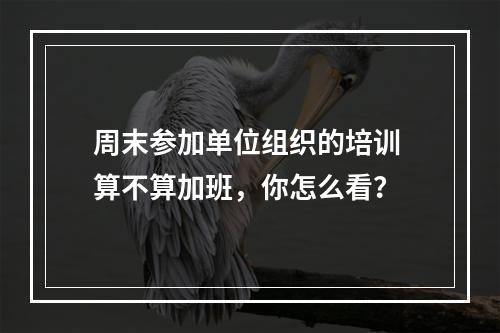 周末参加单位组织的培训 算不算加班，你怎么看？