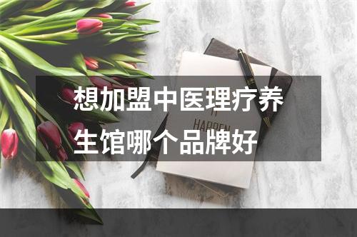 想加盟中医理疗养生馆哪个品牌好