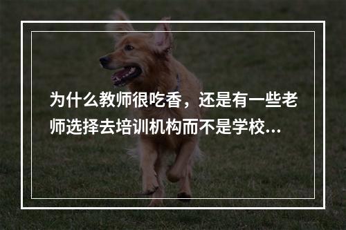 为什么教师很吃香，还是有一些老师选择去培训机构而不是学校？