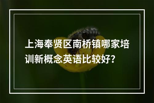 上海奉贤区南桥镇哪家培训新概念英语比较好？