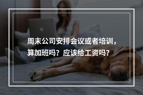 周末公司安排会议或者培训，算加班吗？应该给工资吗？