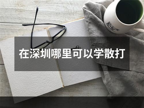 在深圳哪里可以学散打