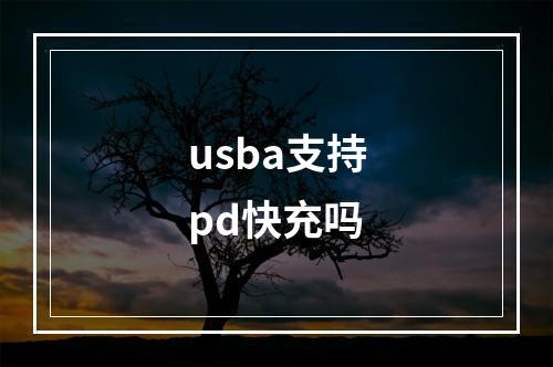 usba支持pd快充吗