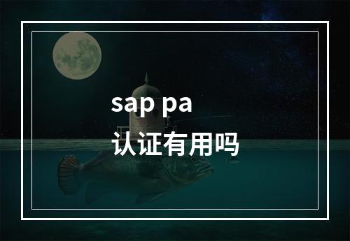 sap pa认证有用吗