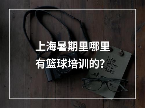 上海暑期里哪里有篮球培训的？